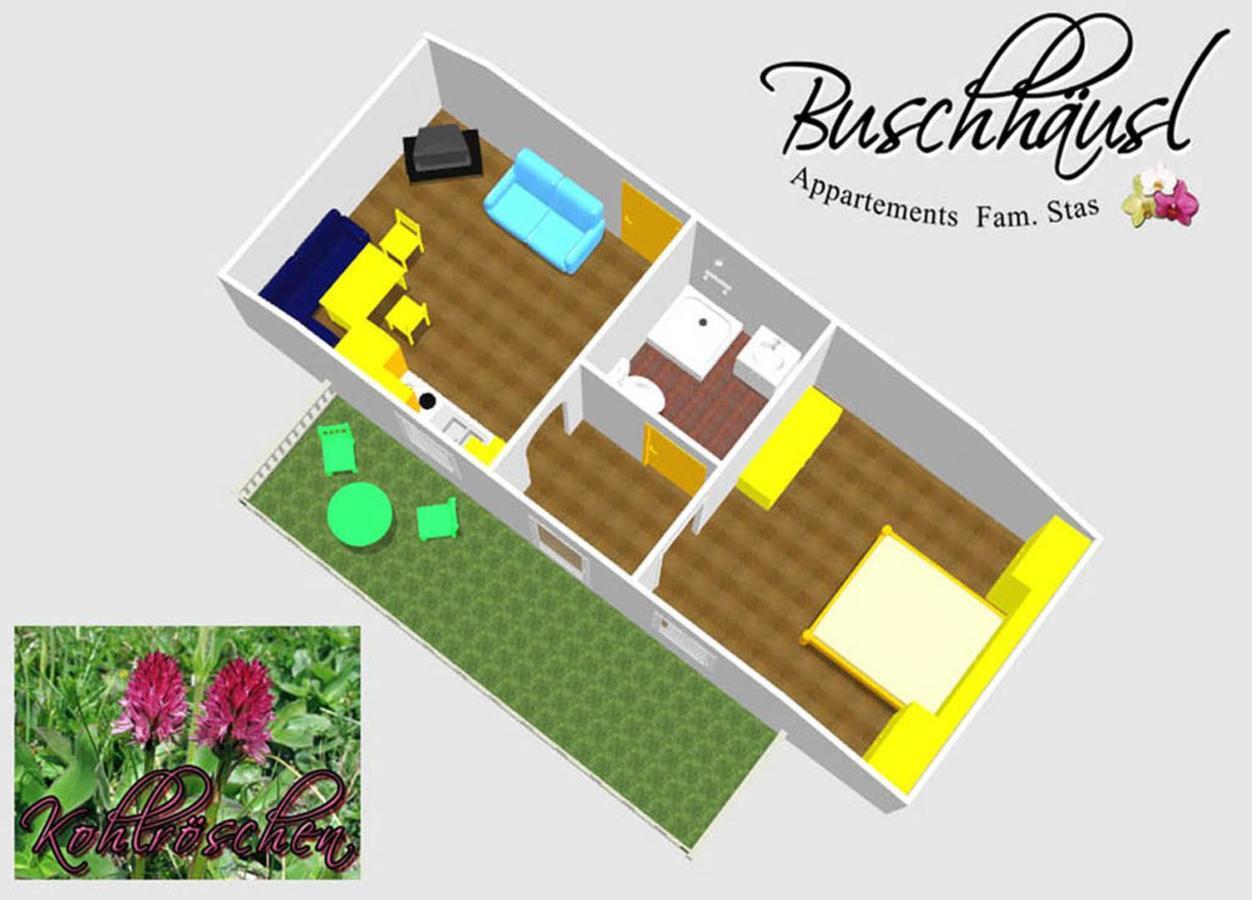 Buschhaeusl Apartman Filzmoos Kültér fotó